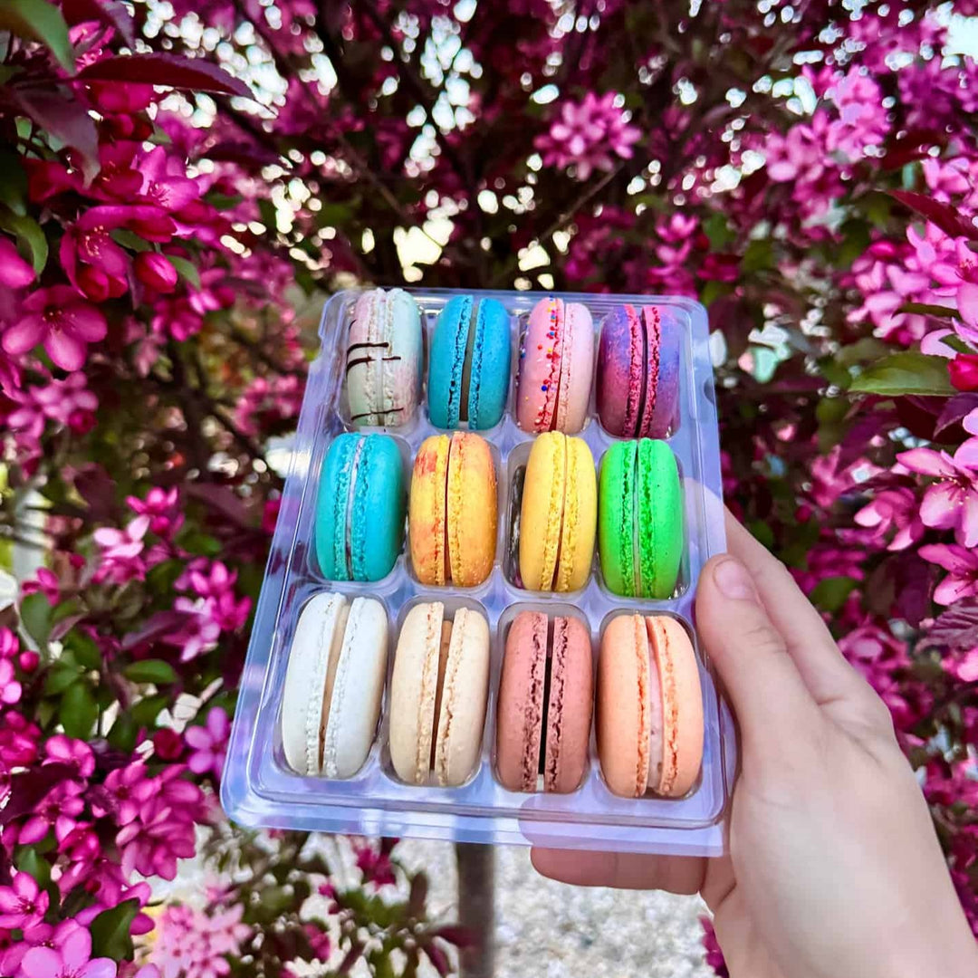 a variety pack of 12 french macarons held up to a flowery outdoor background