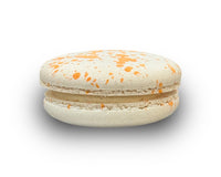Pumpkin Cheesecake (Extra Large)
