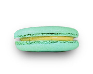 Creme Brulee (Extra Large)