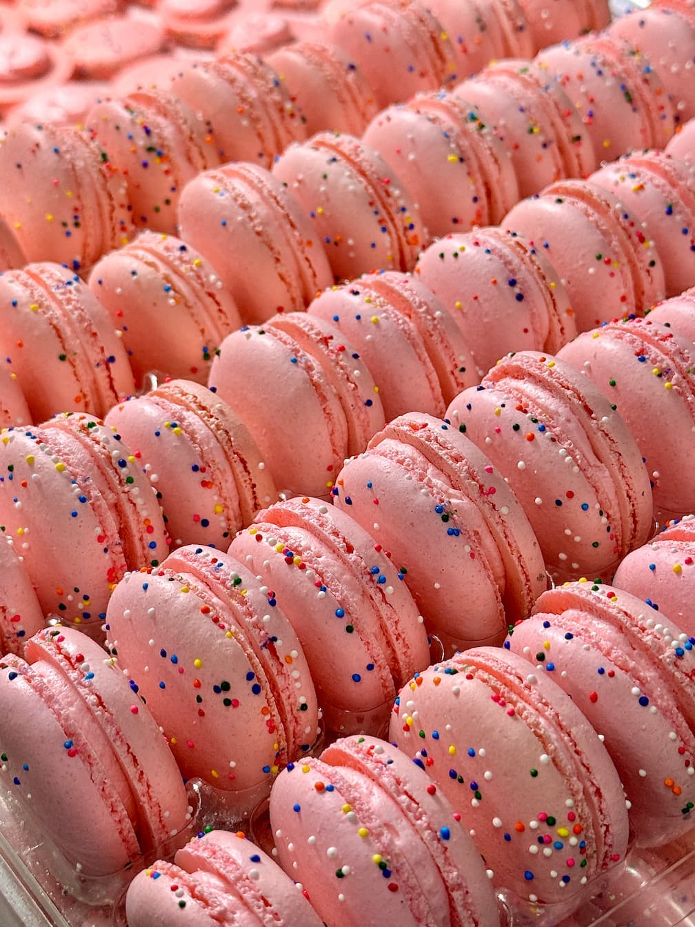 Frosted animal cracker french macarons